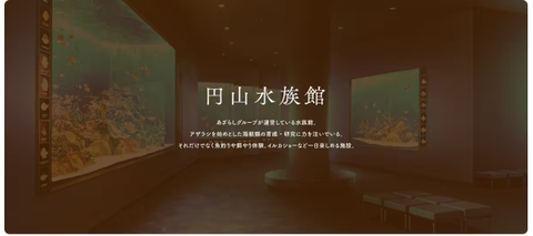甜蜜女友3直装手游[图5]
