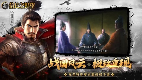 新信长之野望图2