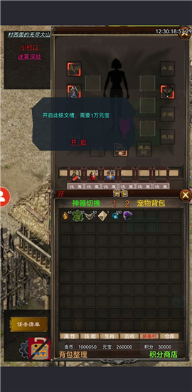 影子传奇图3