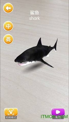 魔法百科图2