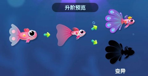 萌鱼泡泡[图3]