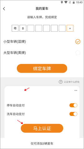 小猫爱车[图3]