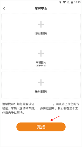 小猫爱车[图4]