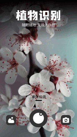 识物宝[图1]