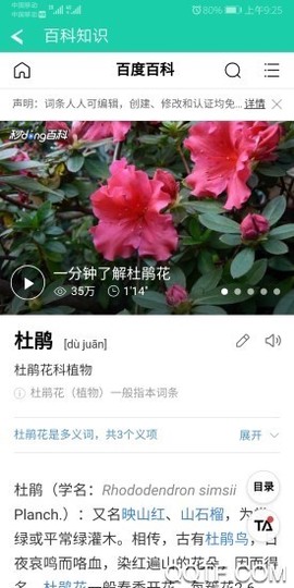 识物宝图2