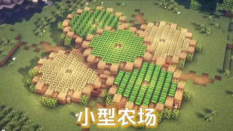 我的世界庄稼怎么种[图2]