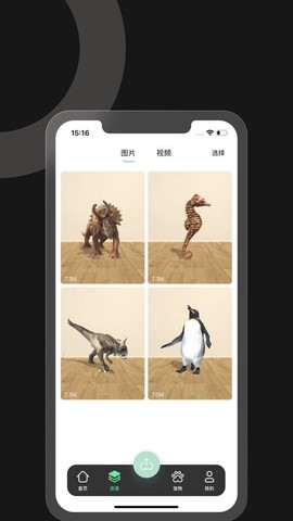 immers[图1]