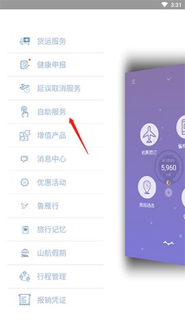 山航掌尚飞[图11]