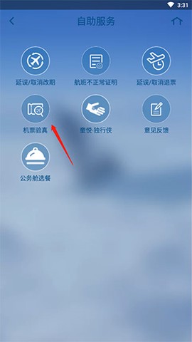 山航掌尚飞[图12]