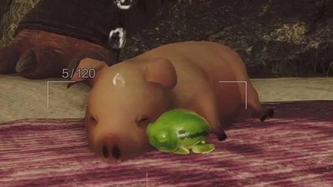 怪物猎人2猪有什么用[图1]