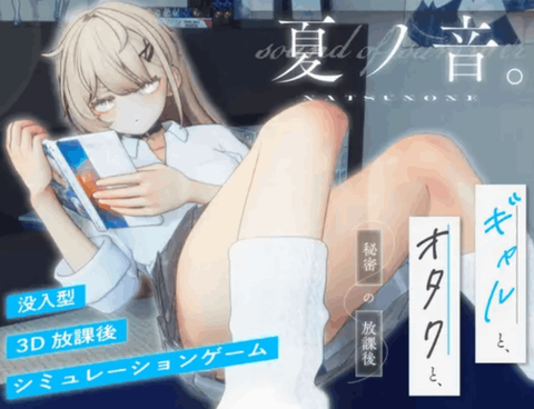 夏之音正式版（直装）图3