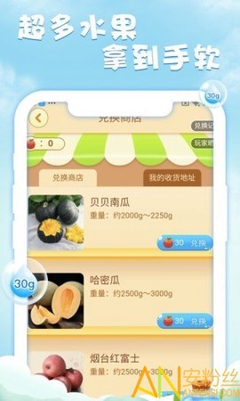 元气果园[图1]
