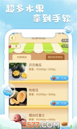 元气果园图1