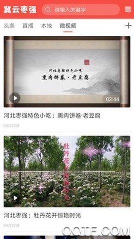 冀云枣强图1