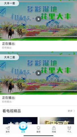 智慧大丰图2