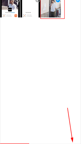布鲁帝[图4]