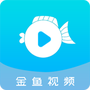 金鱼视频