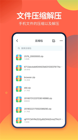 DS文件管理器图1