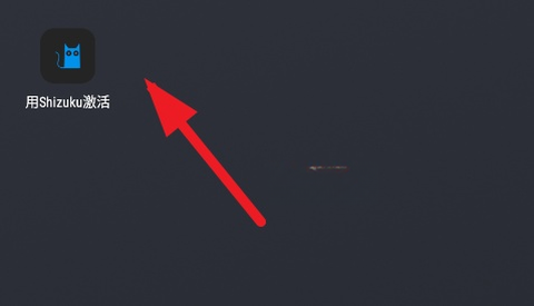 用Shizuku激活[图3]