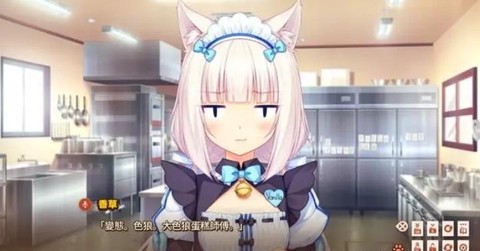 巧克力与香子兰[图2]