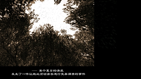 东方绯想天[图4]