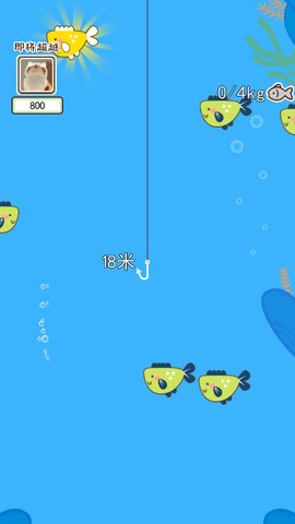 喵喵水族箱图1