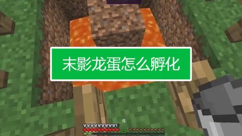 我的世界末影龙蛋怎么孵化