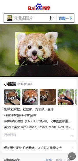 百度识图最新版[图1]