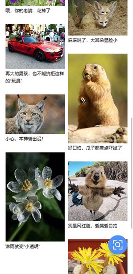 百度识图最新版[图3]
