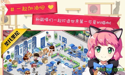 猫猫咖啡屋图2