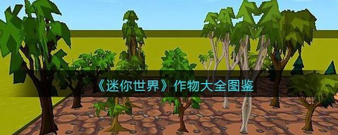迷你世界甘蔗怎么种