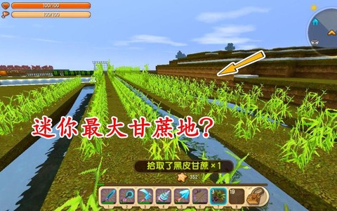 迷你世界甘蔗怎么种[图1]
