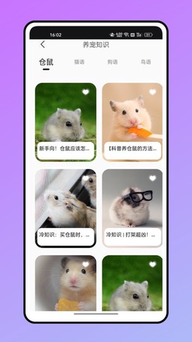 仓鼠翻译器[图1]