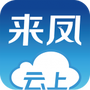 云上来凤
