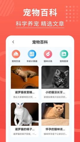 猫猫翻译器[图1]