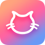 飞猫云