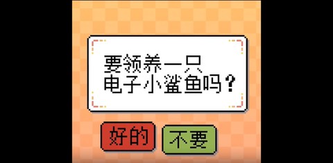 我的小鲨鱼[图10]