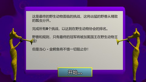 野生动物运动会[图6]