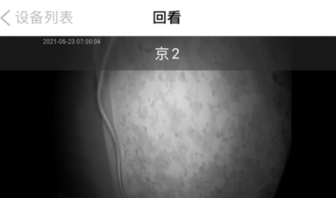 极致云视截图2