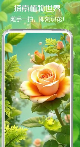 拍照识花君[图1]
