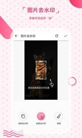 轻抖去水印[图1]
