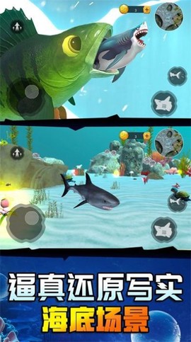 海底鲨鱼大猎杀截图2