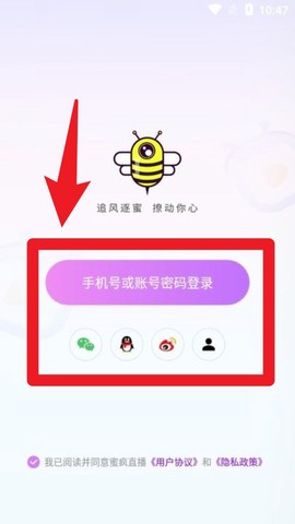 蜜疯直播[图1]