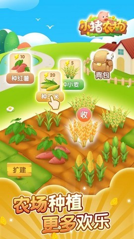 小猪农场[图3]