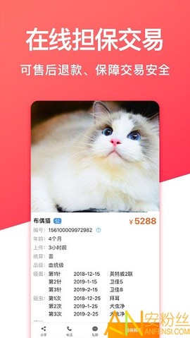 宠物市场[图1]