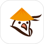 青鸽网