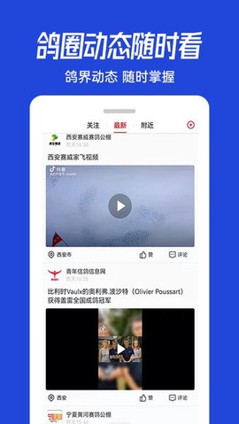 青鸽网[图1]