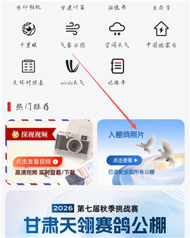 青鸽网截图1