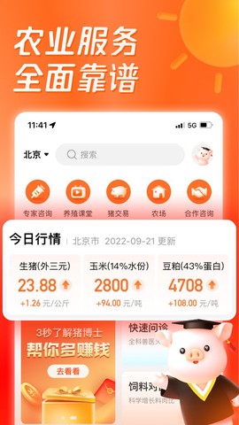 正大猪博士截图3