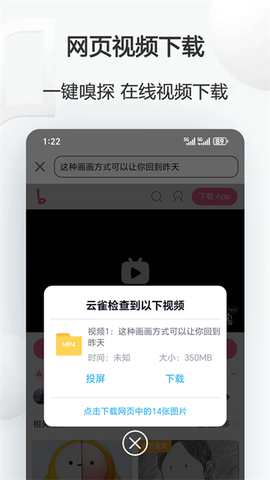 云雀视频下载助手截图2